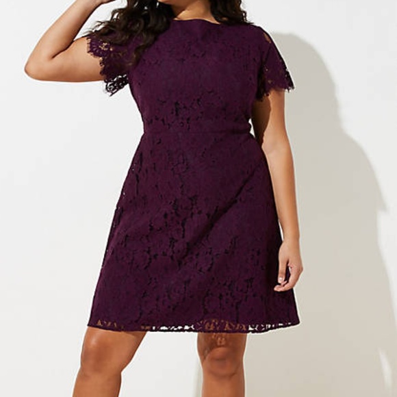 loft plus dresses